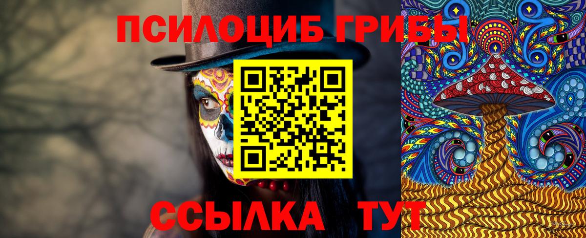 Псилоцибиновые грибы прущие грибы  Псилоцибиновые грибы Magic Shrooms  Вход с VPN  Елизово 