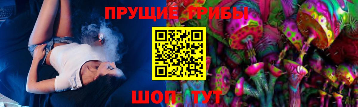 Галлюциногенные грибы Psilocybine cubensis Елизово