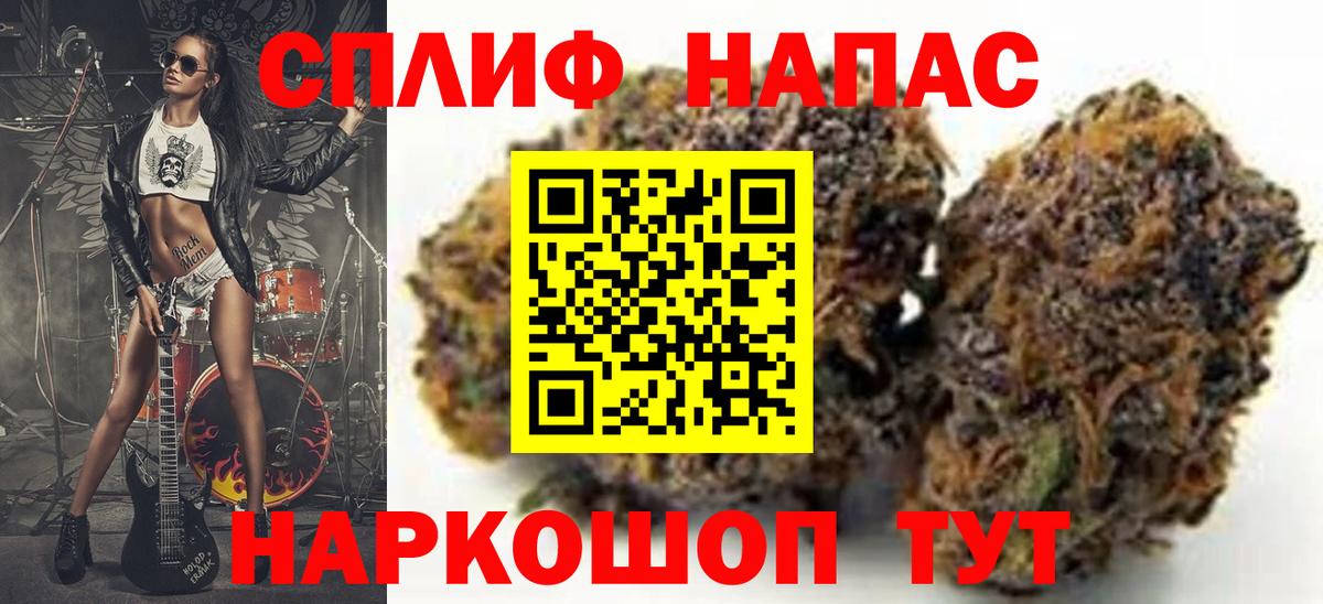 Конопля гибрид Елизово